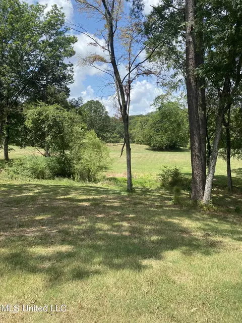 0 Hunters Walk Cv, Hernando, MS 38632 photo 21
