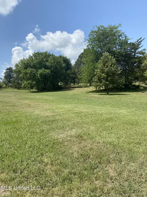 0 Hunters Walk Cv, Hernando, MS 38632 photo 17
