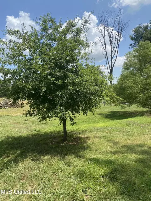 0 Hunters Walk Cv, Hernando, MS 38632 photo 20