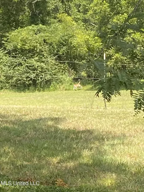 0 Hunters Walk Cv, Hernando, MS 38632 photo 16