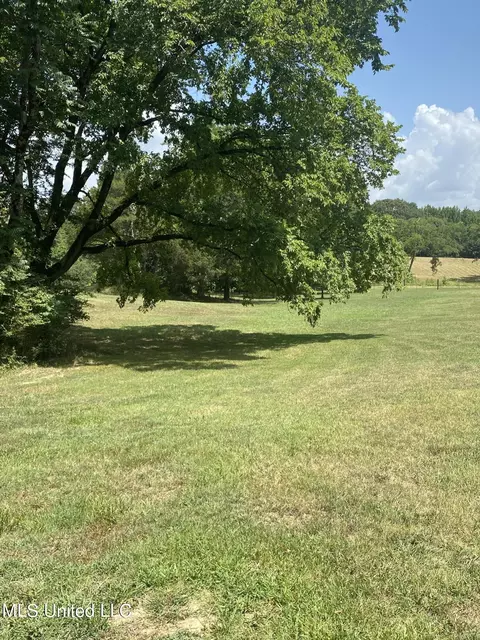 0 Hunters Walk Cv, Hernando, MS 38632 photo 6