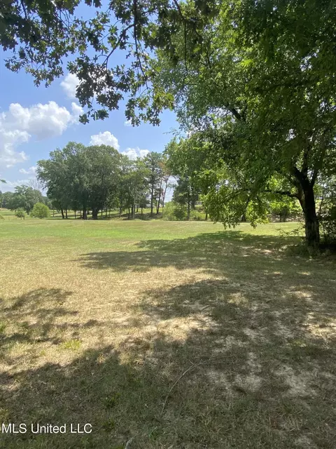 0 Hunters Walk Cv, Hernando, MS 38632 photo 11