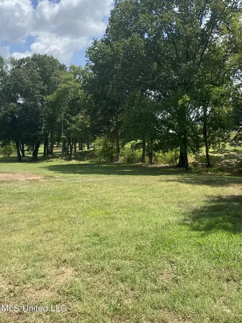 0 Hunters Walk Cv, Hernando, MS 38632 photo 3
