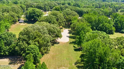 View/Area - 2125 Swinnea Rd, Nesbit, MS 38651 photo 1 of 1