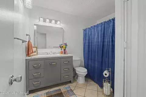 Bath - 2125 Swinnea Rd, Nesbit, MS 38651 photo 4 of 4