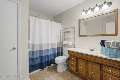 Bath - 2125 Swinnea Rd, Nesbit, MS 38651 photo 3 of 4