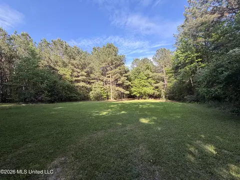2338 Evans Rd, Smithdale, MS 39664 photo 22
