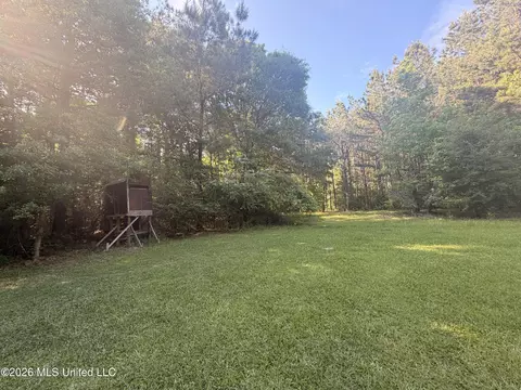 2338 Evans Rd, Smithdale, MS 39664 photo 23