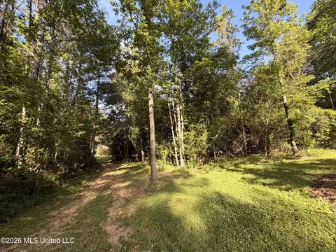 2338 Evans Rd, Smithdale, MS 39664 photo 21