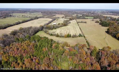 4444 Whippoorwill Rd, Walnut, MS 38683 photo 5