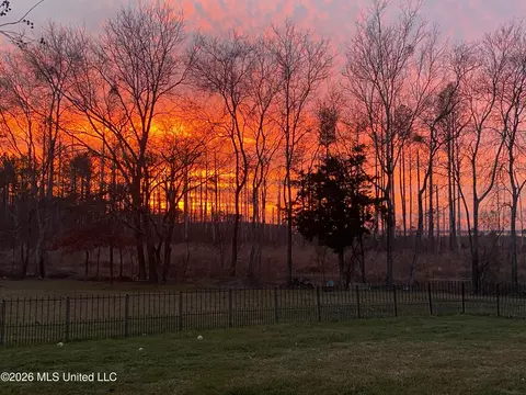 613 Three Prong Rd, Brandon, MS 39047 photo 4