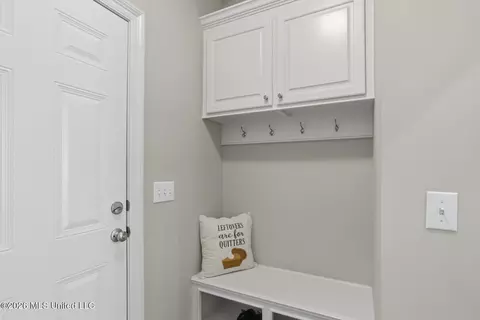 Entry Way - 223 Falls Xing, Madison, MS 39110 photo 4 of 4
