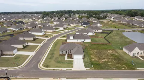 View/Area - 425 Baleigh Way, Canton, MS 39046 photo 2 of 7