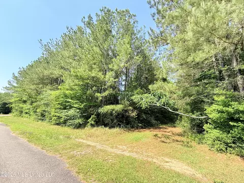 49 Page Dr, Moselle, MS 39459 photo 4
