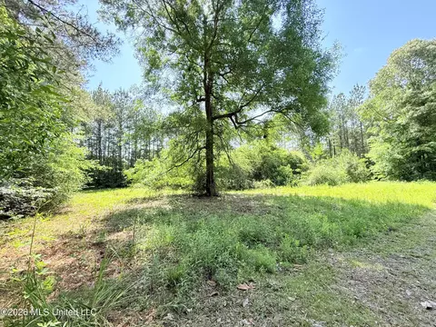 49 Page Dr, Moselle, MS 39459 photo 2
