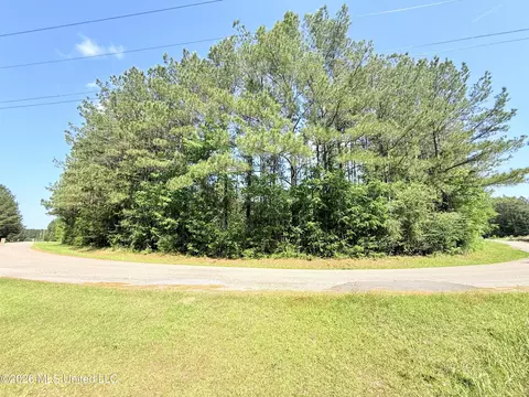 49 Page Dr, Moselle, MS 39459 photo 5