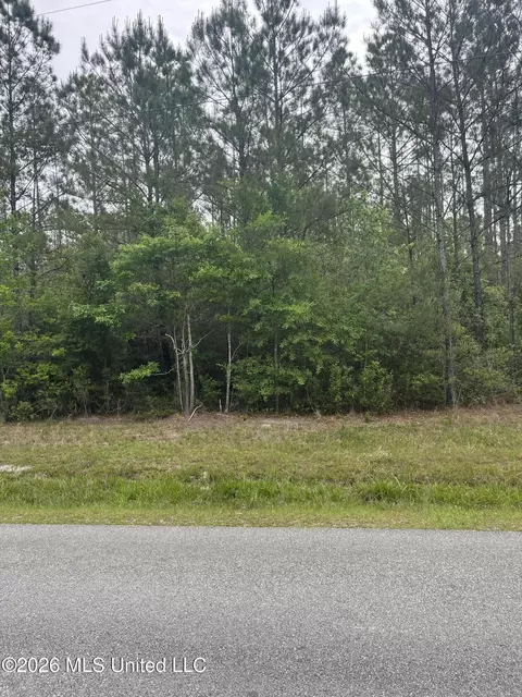 lot1 Leetown Rd, Picayune, MS 39466