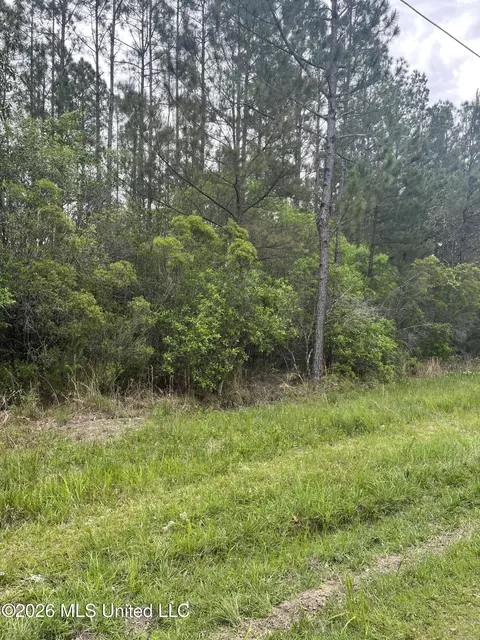 lot2 Leetown Rd, Picayune, MS 39466