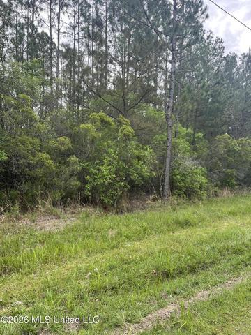 lot2 Leetown Rd, Picayune, MS 39466