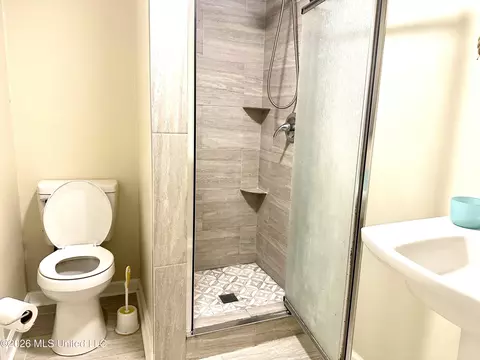 Bath - 1161 S Thunderbird Dr, Hernando, MS 38632 photo 3 of 5