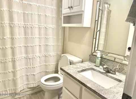 Bath - 1161 S Thunderbird Dr, Hernando, MS 38632 photo 4 of 5
