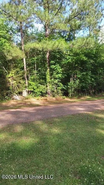 000 Smith Ln, Wesson, MS 39191