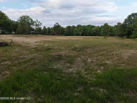 183 Central Blvd, Flora, MS 39071 photo 12