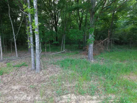 183 Central Blvd, Flora, MS 39071 photo 20