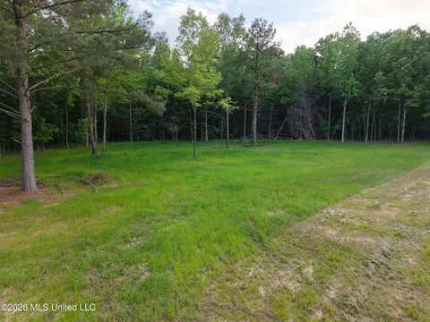 183 Central Blvd, Flora, MS 39071 photo 16