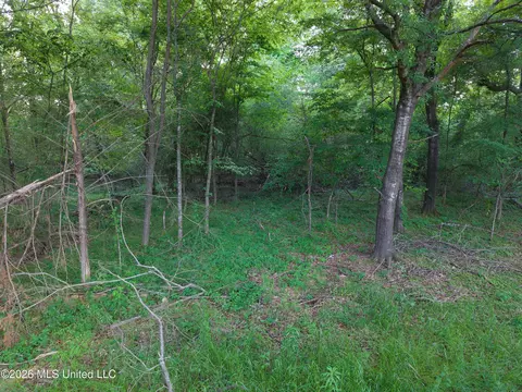 183 Central Blvd, Flora, MS 39071 photo 21