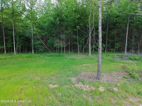 183 Central Blvd, Flora, MS 39071 photo 19