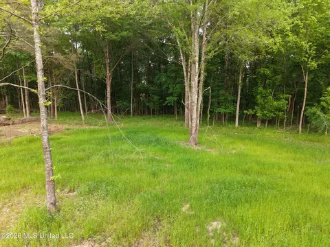 183 Central Blvd, Flora, MS 39071 photo 17
