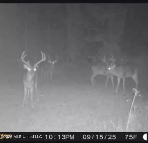 183 Central Blvd, Flora, MS 39071 photo 28