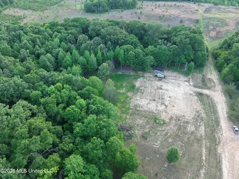 183 Central Blvd, Flora, MS 39071 photo 8