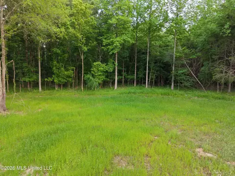 183 Central Blvd, Flora, MS 39071 photo 18