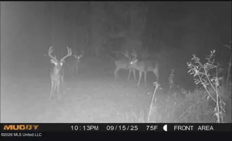 183 Central Blvd, Flora, MS 39071 photo 30