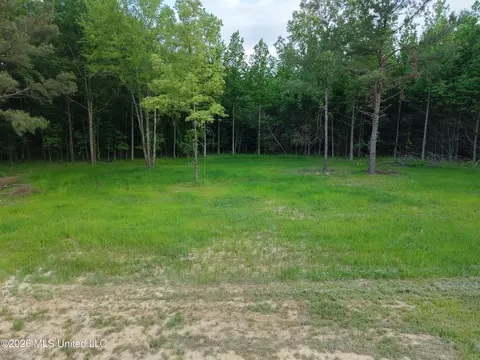 183 Central Blvd, Flora, MS 39071 photo 13