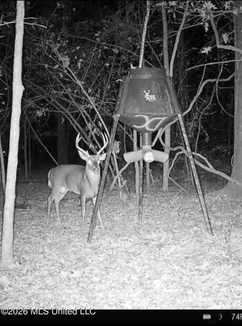 183 Central Blvd, Flora, MS 39071 photo 27