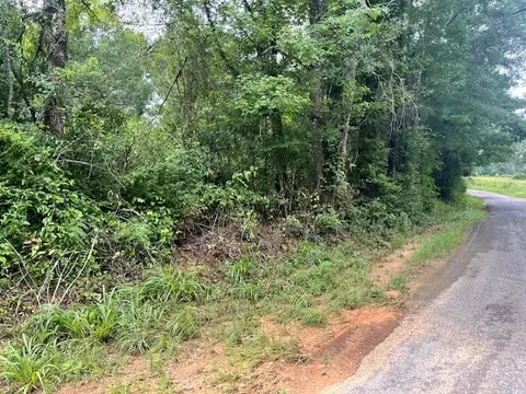 Cole Drive Se, Ruth, MS 39662 photo 3