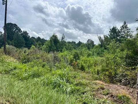 Cole Drive Se, Ruth, MS 39662 photo 2