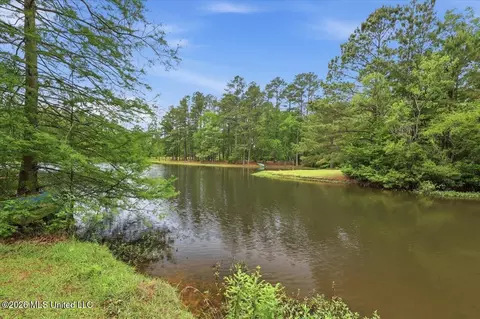 View/Area - 361 Springhill Dr, Terry, MS 39170 photo 2 of 2