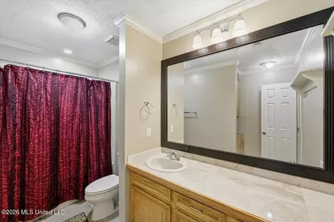 Bath - 361 Springhill Dr, Terry, MS 39170 photo 6 of 6