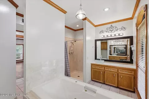Bath - 361 Springhill Dr, Terry, MS 39170 photo 4 of 6