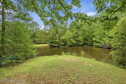 View/Area - 361 Springhill Dr, Terry, MS 39170 photo 1 of 2