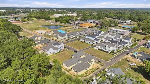 View/Area - 401 Harmony St, Madison, MS 39110 photo 7 of 12
