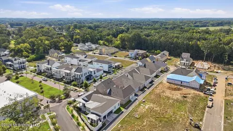 View/Area - 401 Harmony St, Madison, MS 39110 photo 9 of 12