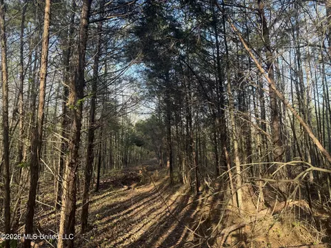 Robert Ford Road, Waterford, MS 38685