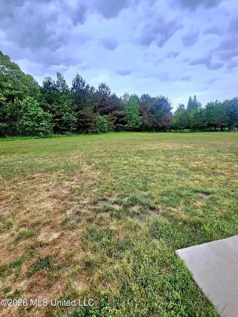 Exterior - 124 Deerfield Trce, Coldwater, MS 38618 photo 2 of 2