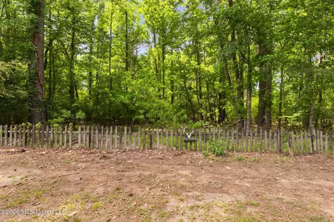 197 Azalea Cir, Madison, MS 39110 photo 37