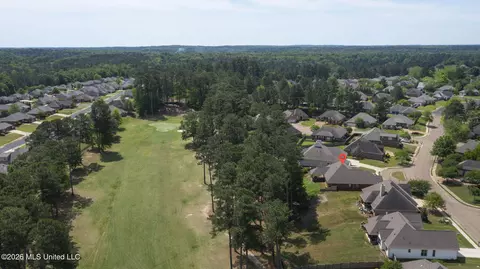 View/Area - 110 Willow Crest Cir, Brandon, MS 39047 photo 3 of 3